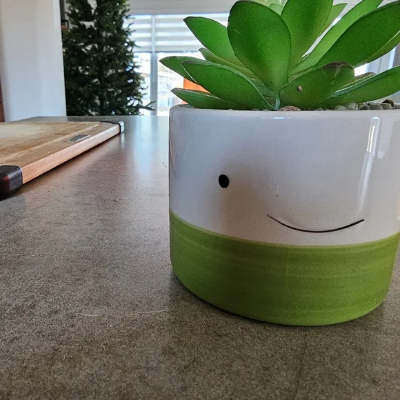 Plant - Picture 2 of 3